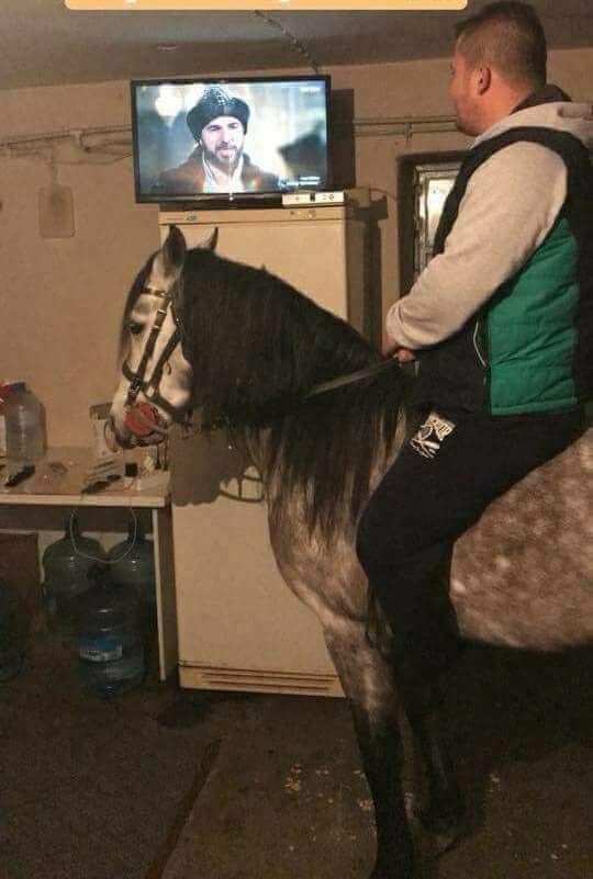 0ErXVY.jpg