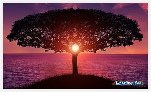 Tərk etdiyin yerdə ola bilərəm, amma tərk etdiyin kimi deyiləm. - Sun.Az