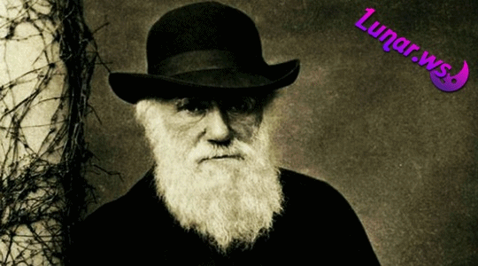 Darvin-in “Allaha inanmıram” məktubu hərraca çıxarılır