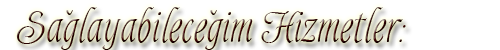 4gPvVL.png