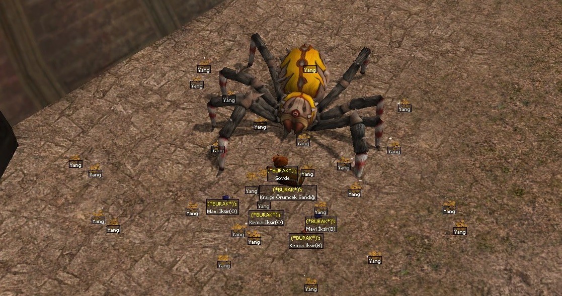 5LEVY5.jpg