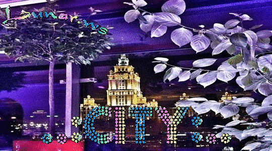 ♥♥♥ City ♥♥♥