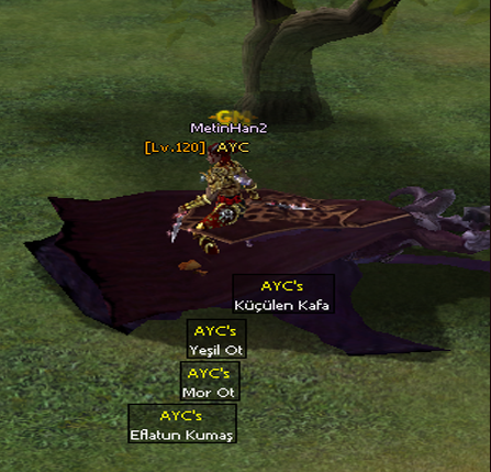 6P294N.png