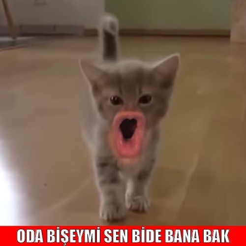 7DRQDa.jpg