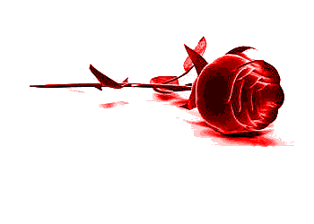 Любви