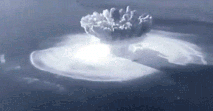 8M9527.gif