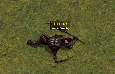8P272r.png