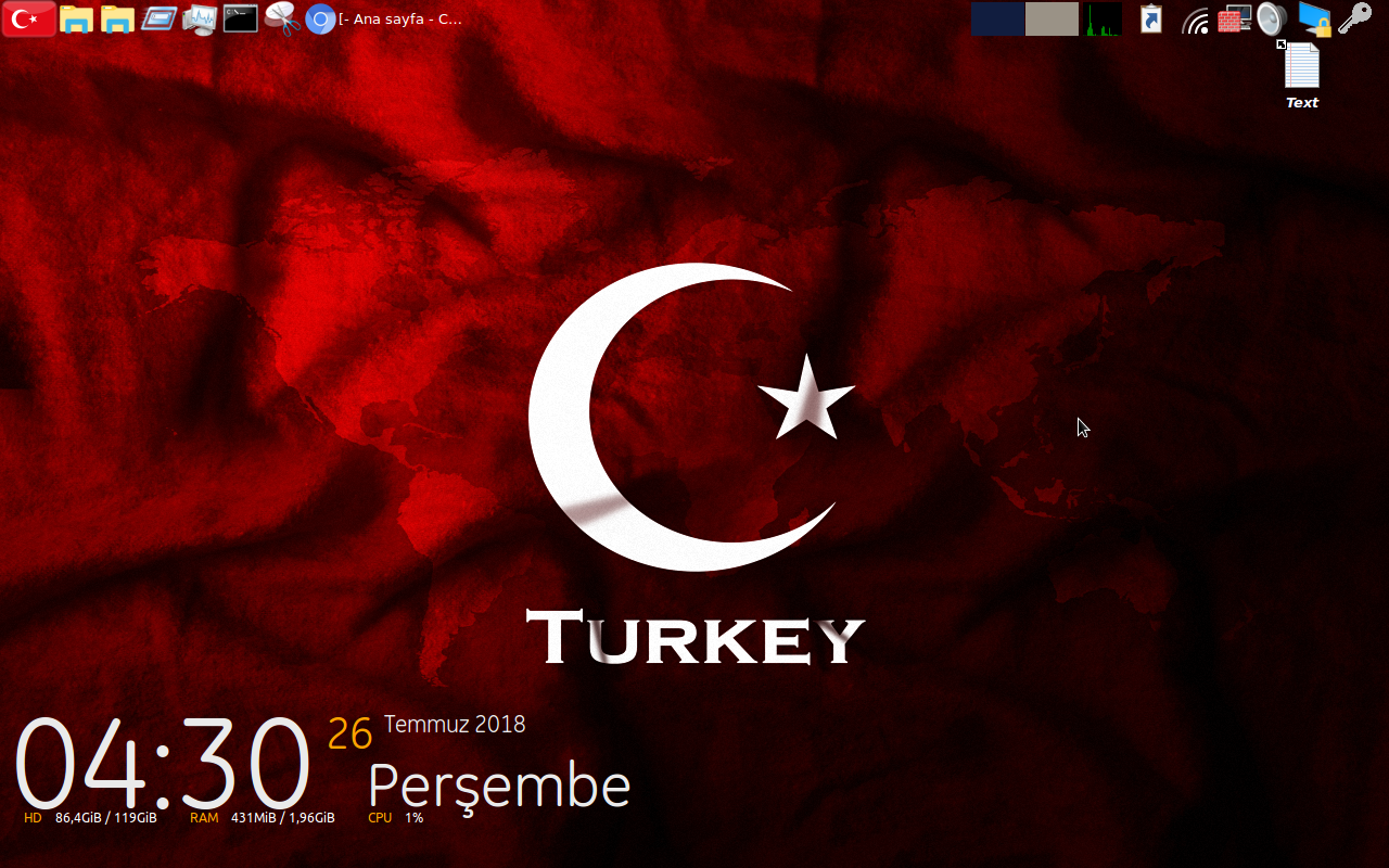 Resim