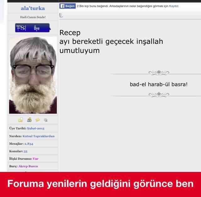 ALOPWp.jpg