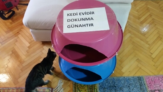 AYpOL7.jpg