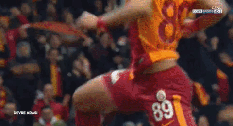EPR8vv.gif