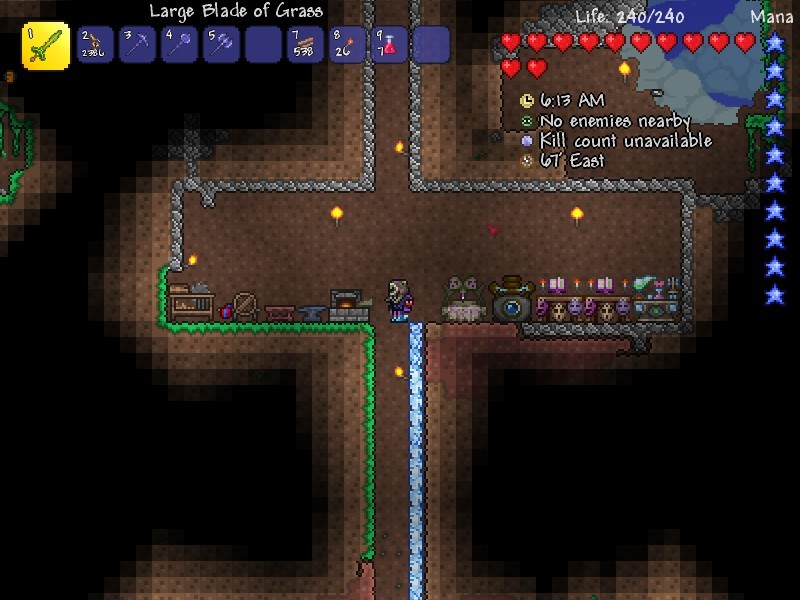 Things To Do Immediately When Starting Terraria