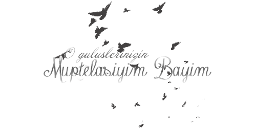 GY6592.png