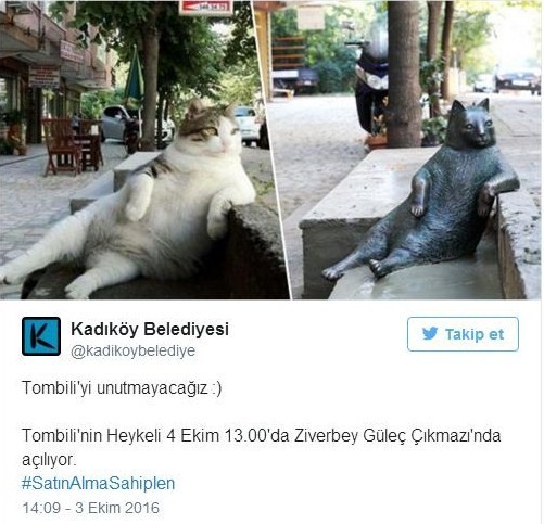 J3MQkE.jpg