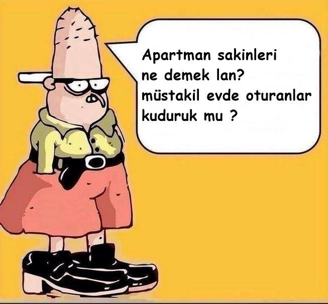 K4aVzQ.jpg