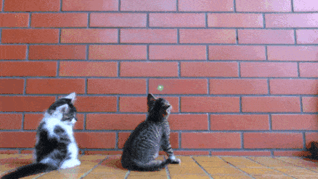 NYbEqk.gif