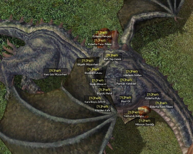 PPW2k6.jpg