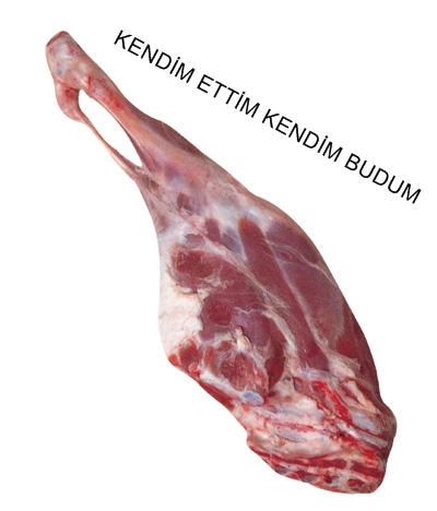 PYvNL5.jpg