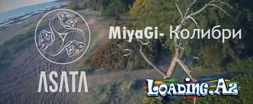 MiyaGi- Колибри