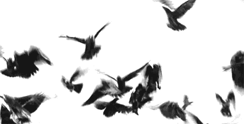 Y35bQ2.gif