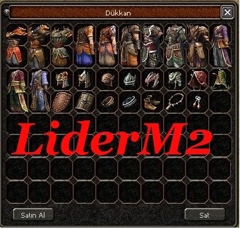YB17L2.jpg