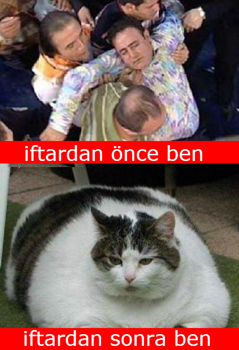 YByVYk.jpg