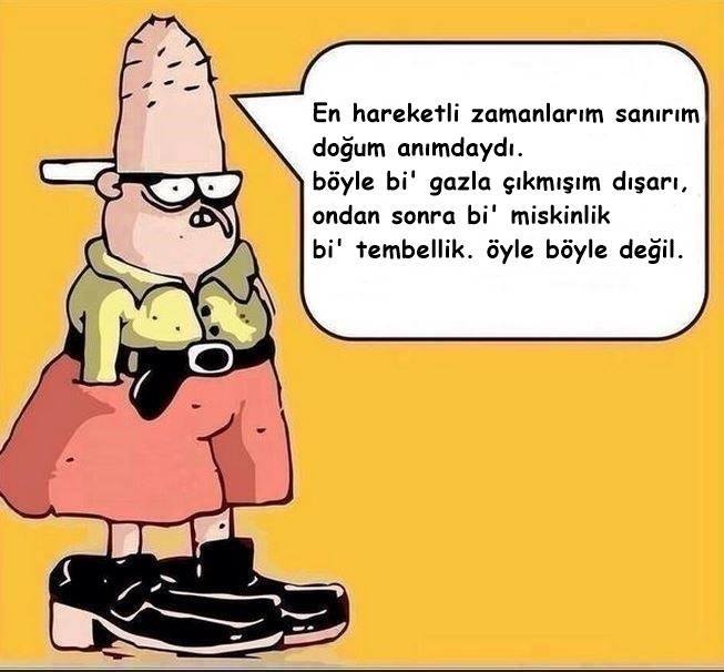 em2N2V.jpg