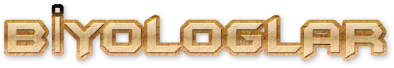 eyO54L.png