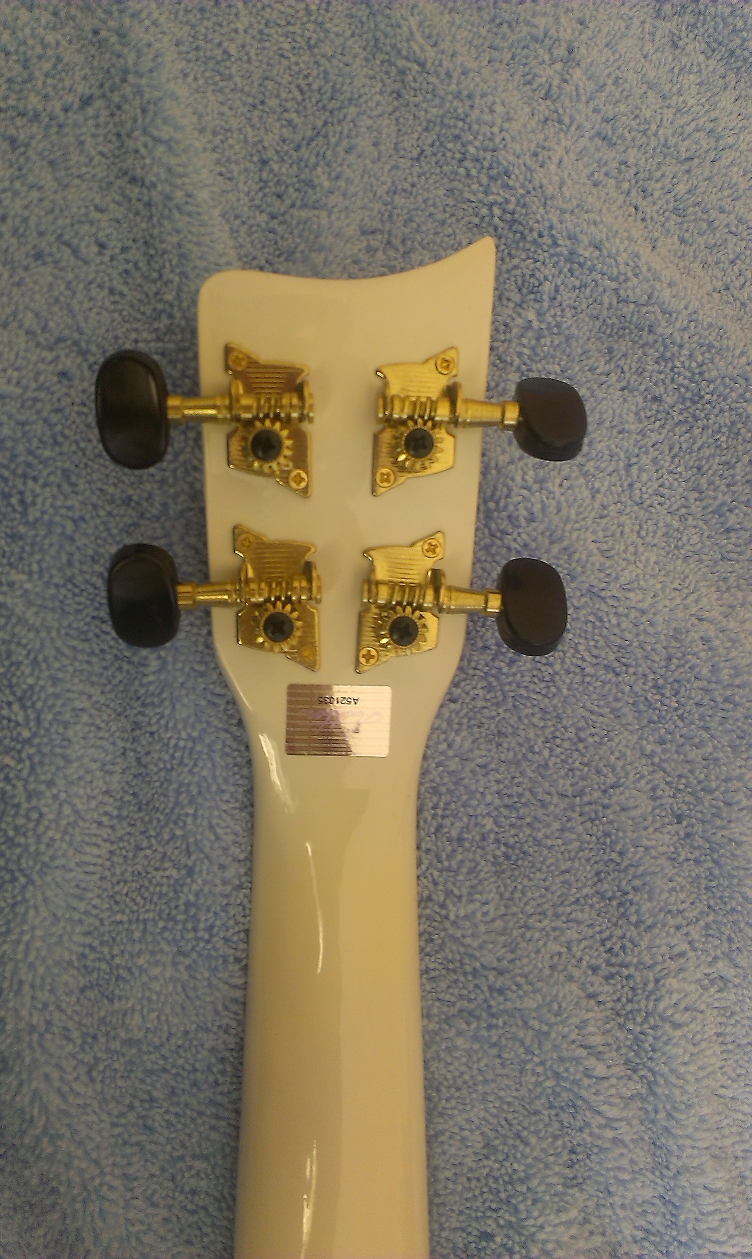  Satılık Ashton Uke101 (Ukelele)