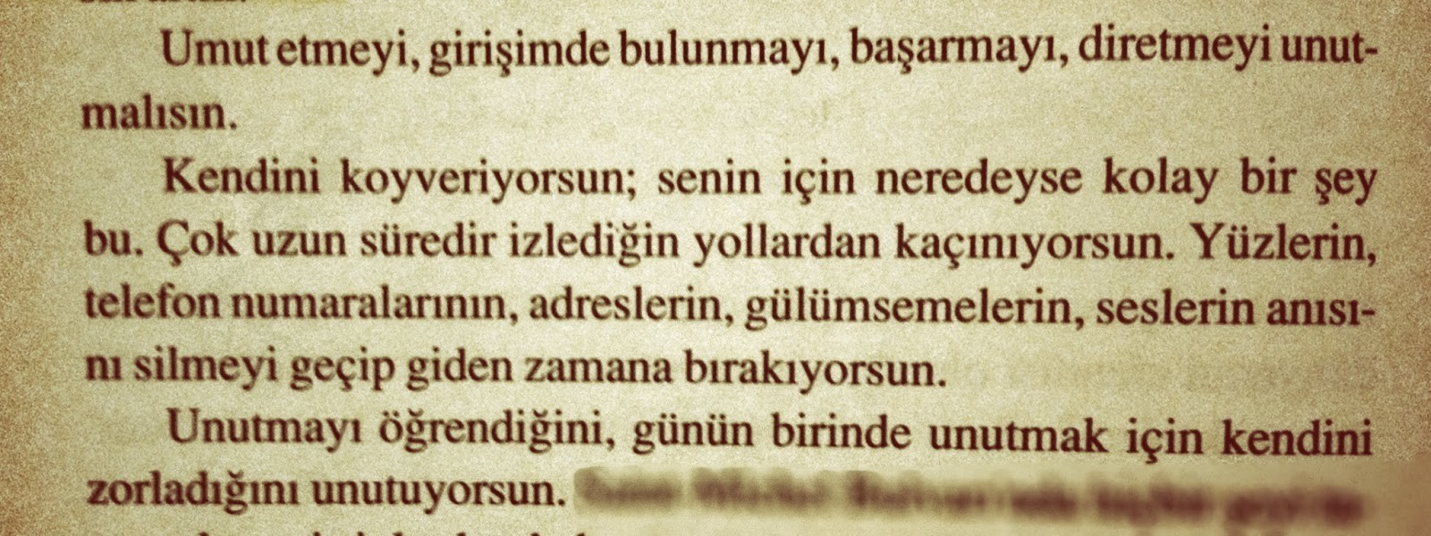 kG8q99.jpg