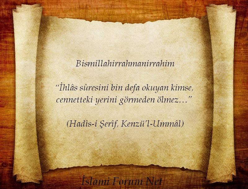 [Resim: kkndpq.jpg]