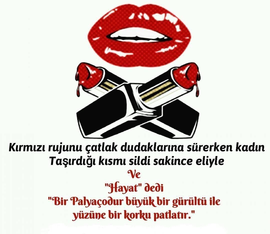 lvqqdr.jpg