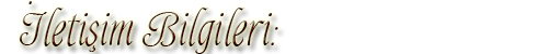 mP3914.png