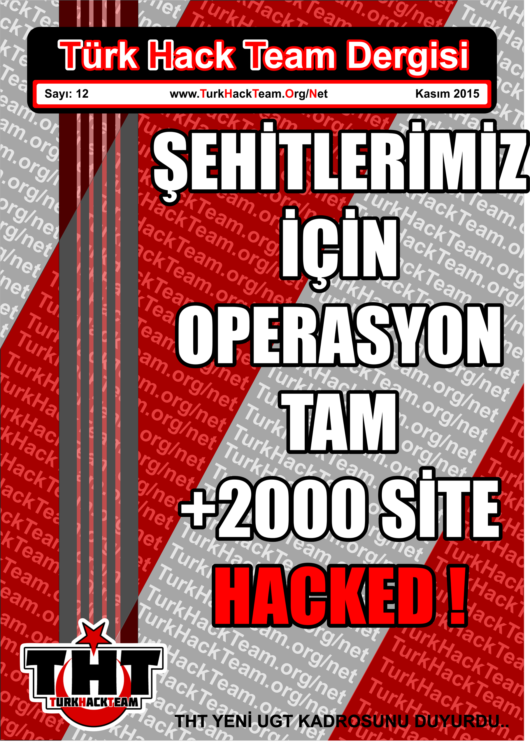 mzv071.png