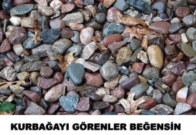 nARGbg.jpg