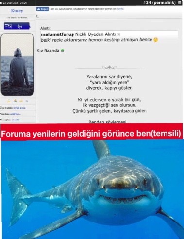 oOpoG7.jpg