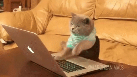 oj8Zrb.gif