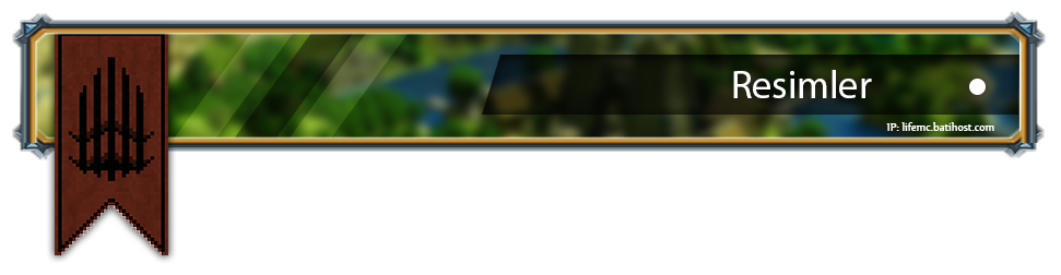 pP174q.png