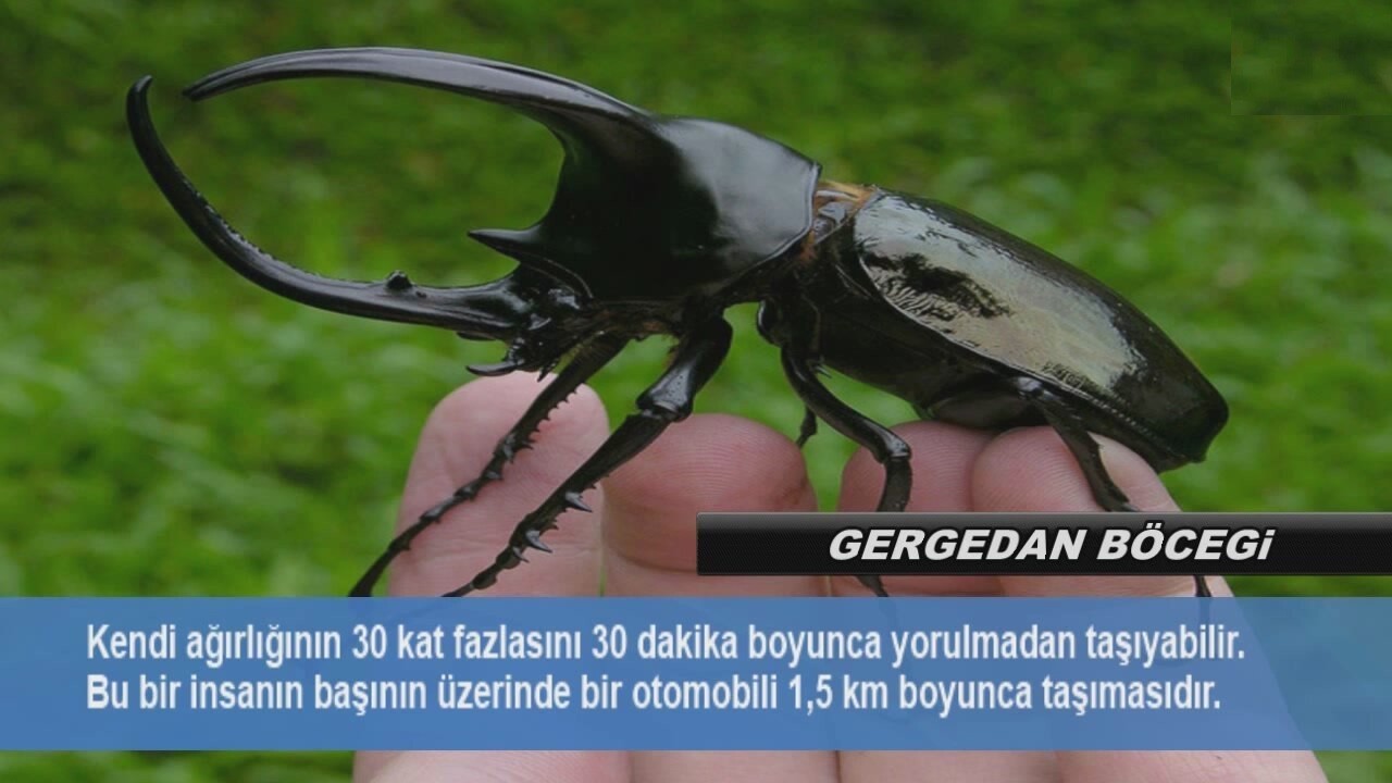 pzJ6na.jpg