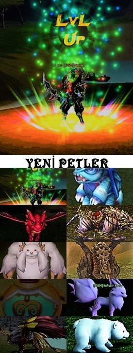 vXABYO.jpg