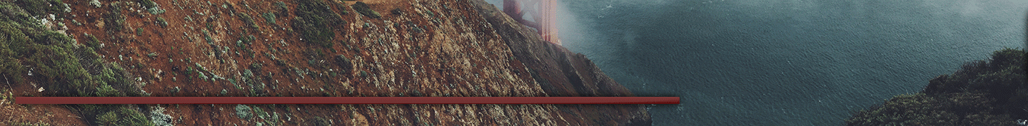 vXL504.gif