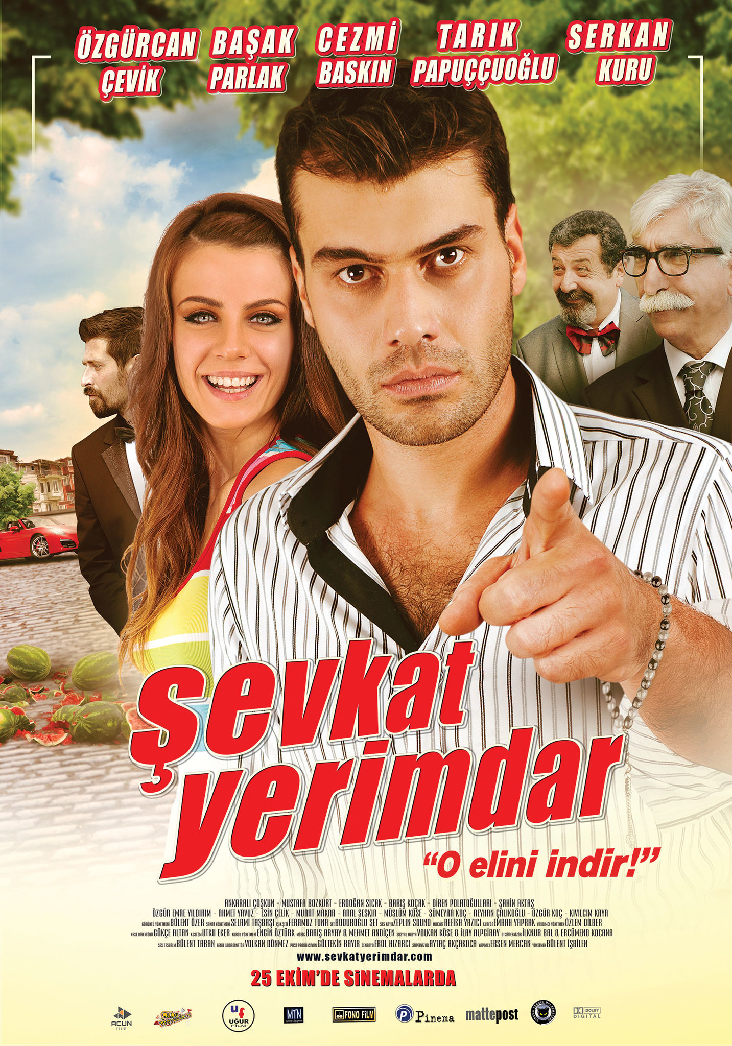 Şevkat Yerimdar (2014) DVDRip – XviD Full İndir