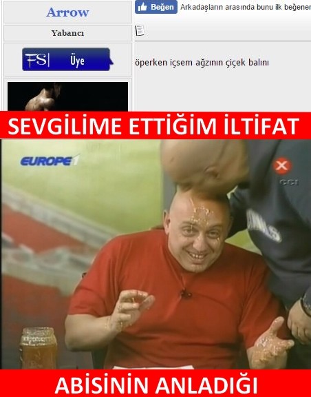 yE080n.jpg