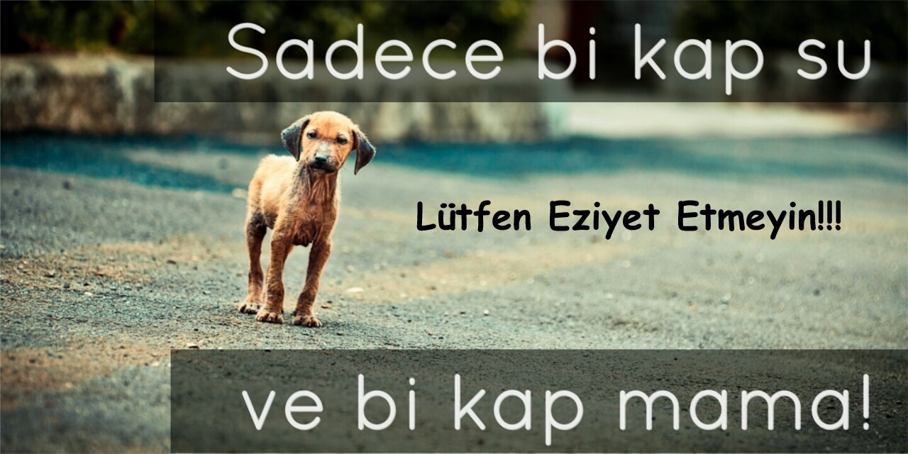 0EbqD8.jpg