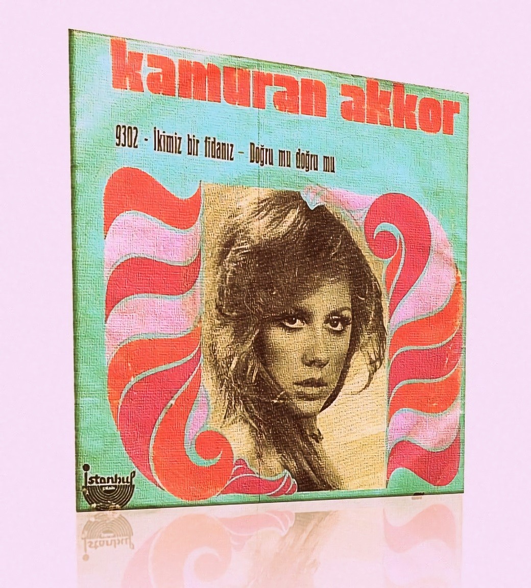 Resim