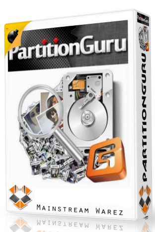 PartitionGuru 4.6.1 Professional Edition | Full Programlar