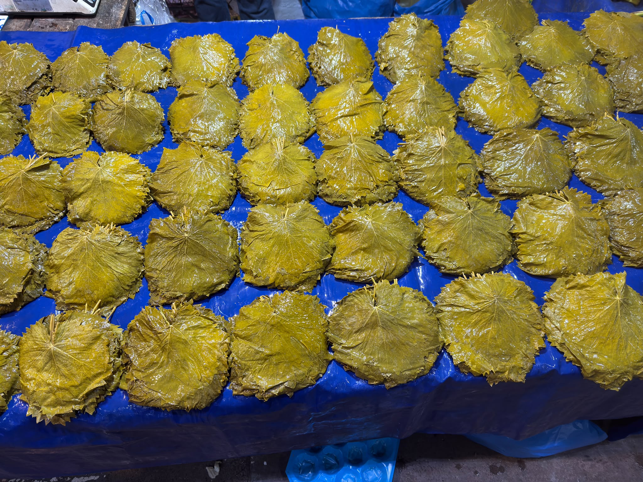 Tokat Yaprağı Bidon ve Hasat Arka Planı