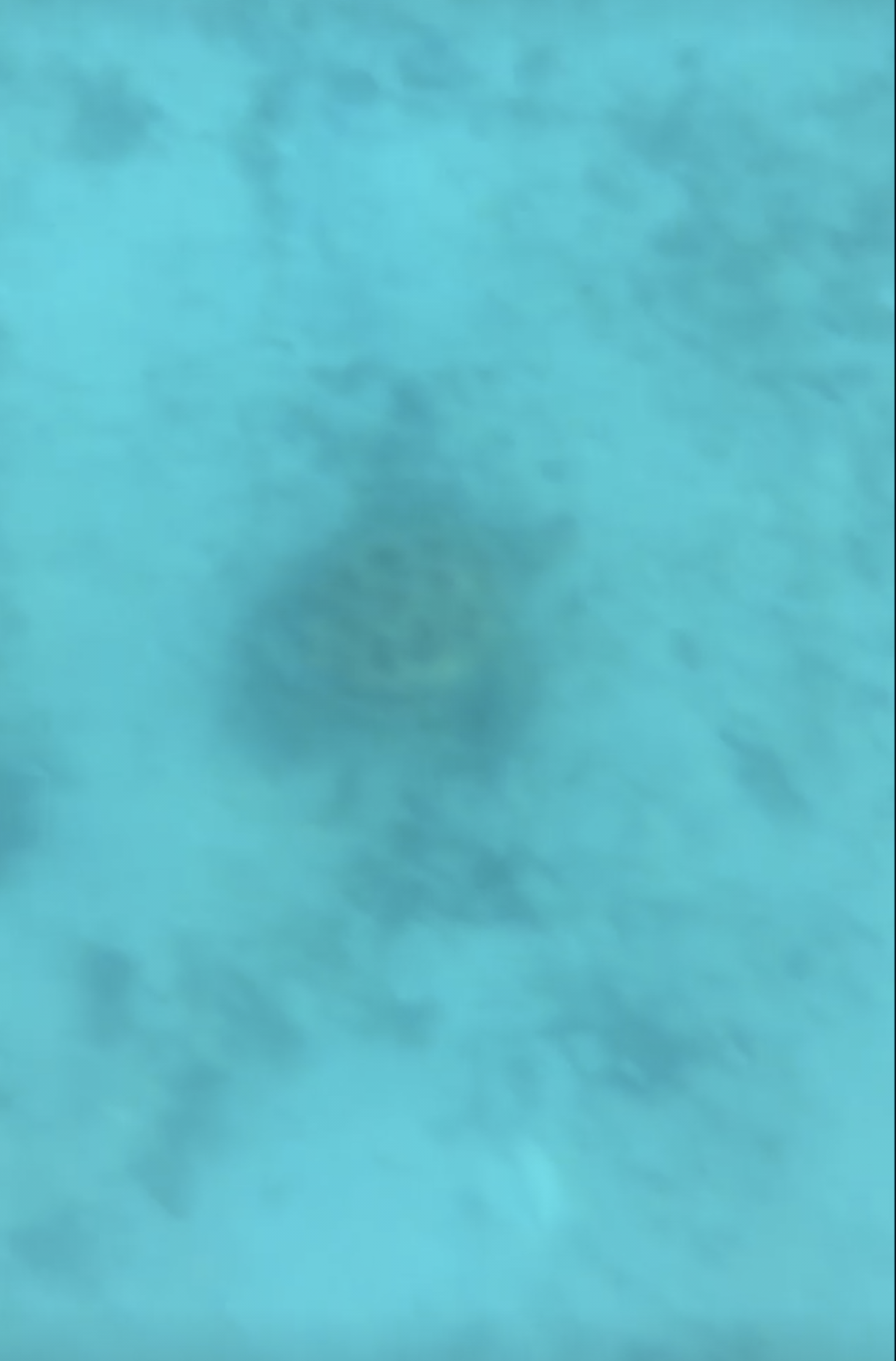 1gWGOj.png