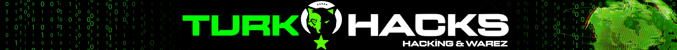 219p33l.png