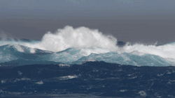 2ENgX2.gif